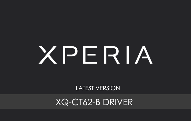 Sony Xperia 1 IV XQ-CT62-B