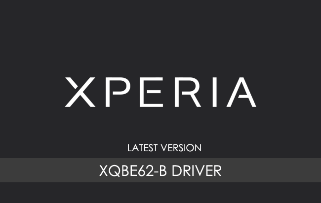 Sony Xperia 1 V XQBE62-B