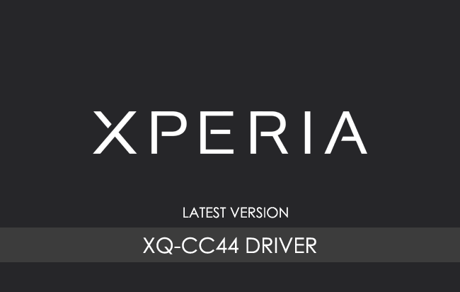 Sony Xperia 10 IV XQ-CC44